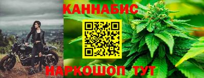 Альфа ПВП Долгопрудный
