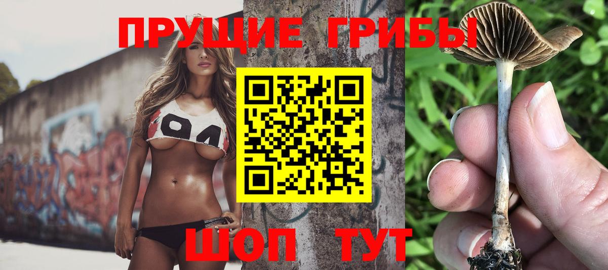 Галлюциногенные грибы Magic Shrooms  Псилоцибиновые грибы прущие грибы  Боровичи  Вход с VPN 